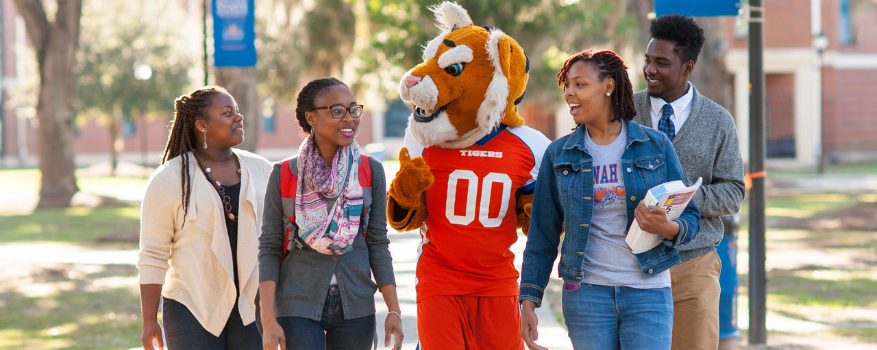 A photo of students walking with the SSU tiger mascot